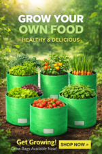 Round Grow Bag 9×9 – Premium Quality, Heavy-Duty, UV-Stabilized (240 GSM) HDPE  Green Plant Bags- pack of 5 - Image 5