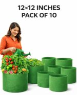 Round Grow Bag 12×12 – Premium Quality, Heavy-Duty, UV-Stabilized (240 GSM) HDPE  Green Plant Bags- pack of 10 - Image 3